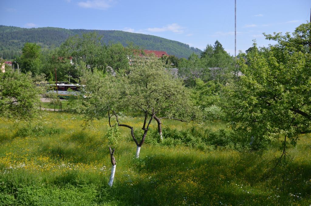 Rosinka Appartement Jaremtsje Buitenkant foto