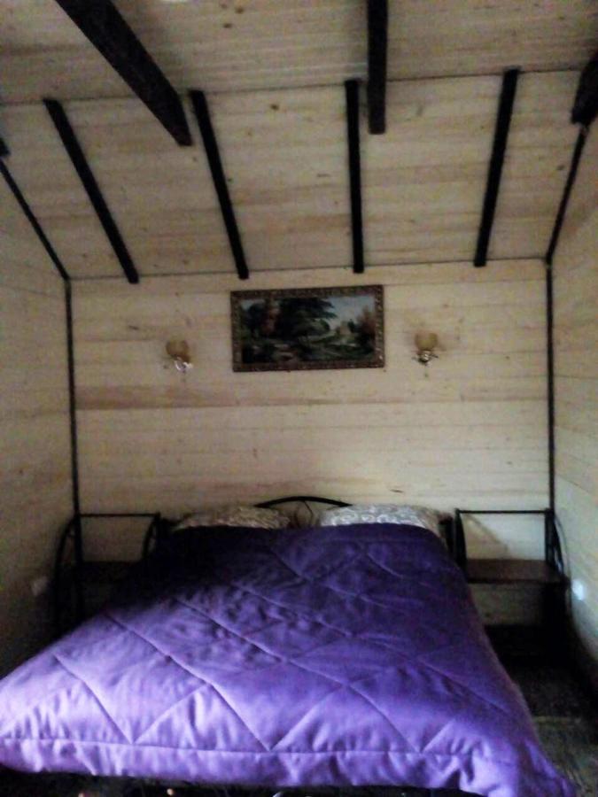 Rosinka Appartement Jaremtsje Buitenkant foto